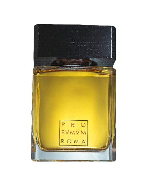 Profumum diffusore ambiente TERRA 350 ml